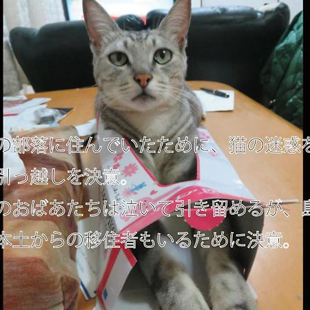 Вілла Okinawa Freedom Накідзин Екстер'єр фото
