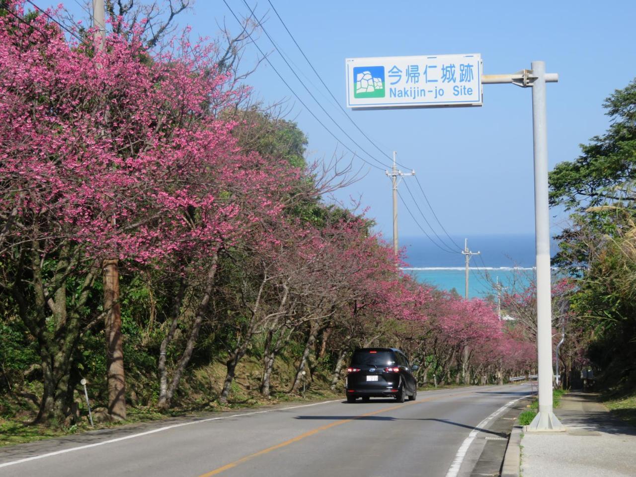 Вілла Okinawa Freedom Накідзин Екстер'єр фото