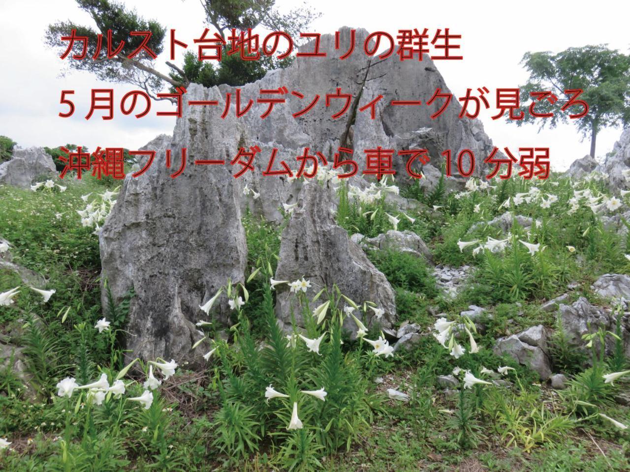 Вілла Okinawa Freedom Накідзин Екстер'єр фото