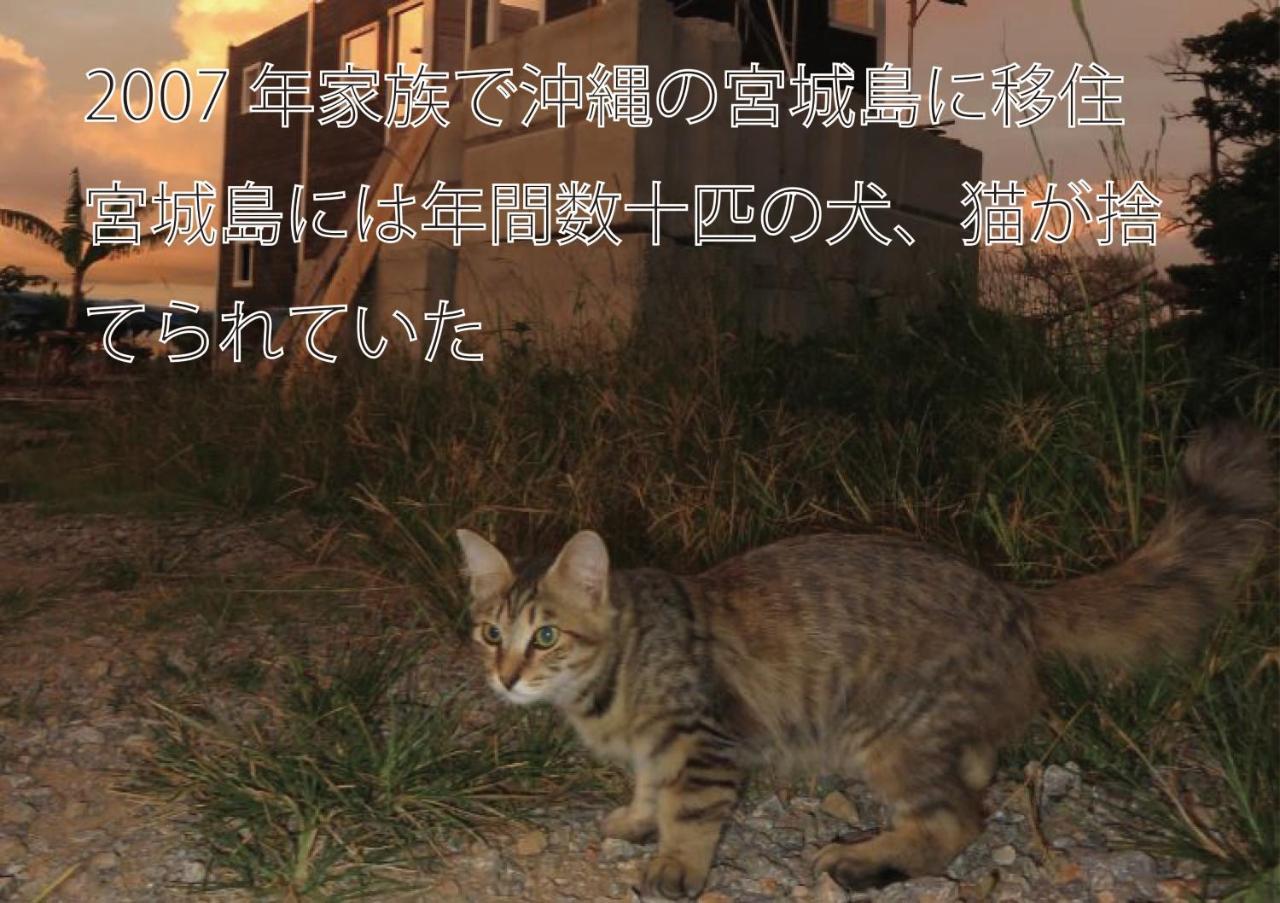 Вілла Okinawa Freedom Накідзин Екстер'єр фото