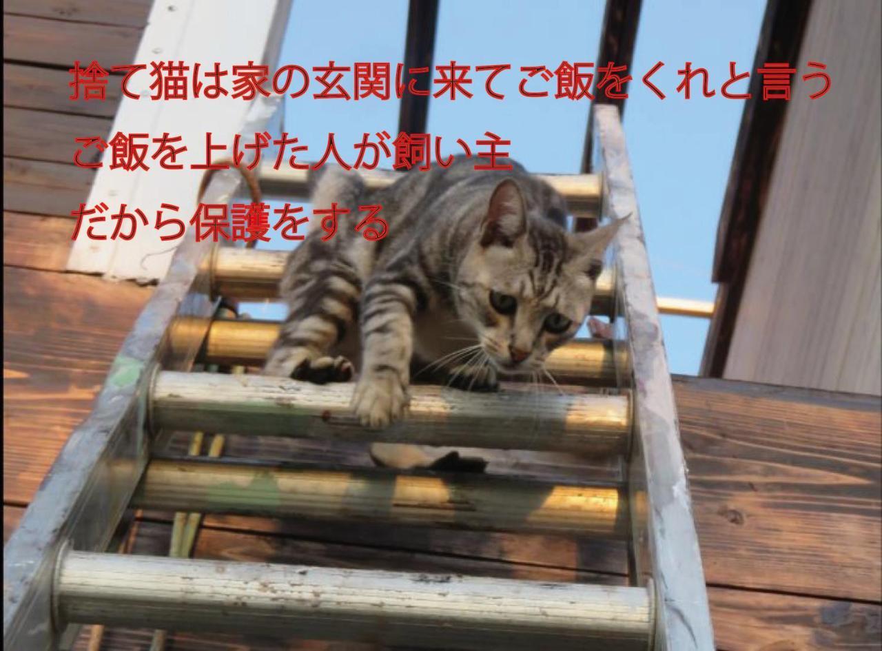 Вілла Okinawa Freedom Накідзин Екстер'єр фото
